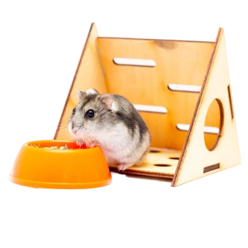 Кормушки